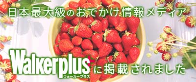 ウォーカープラスバからのいちご狩り予約はこちら